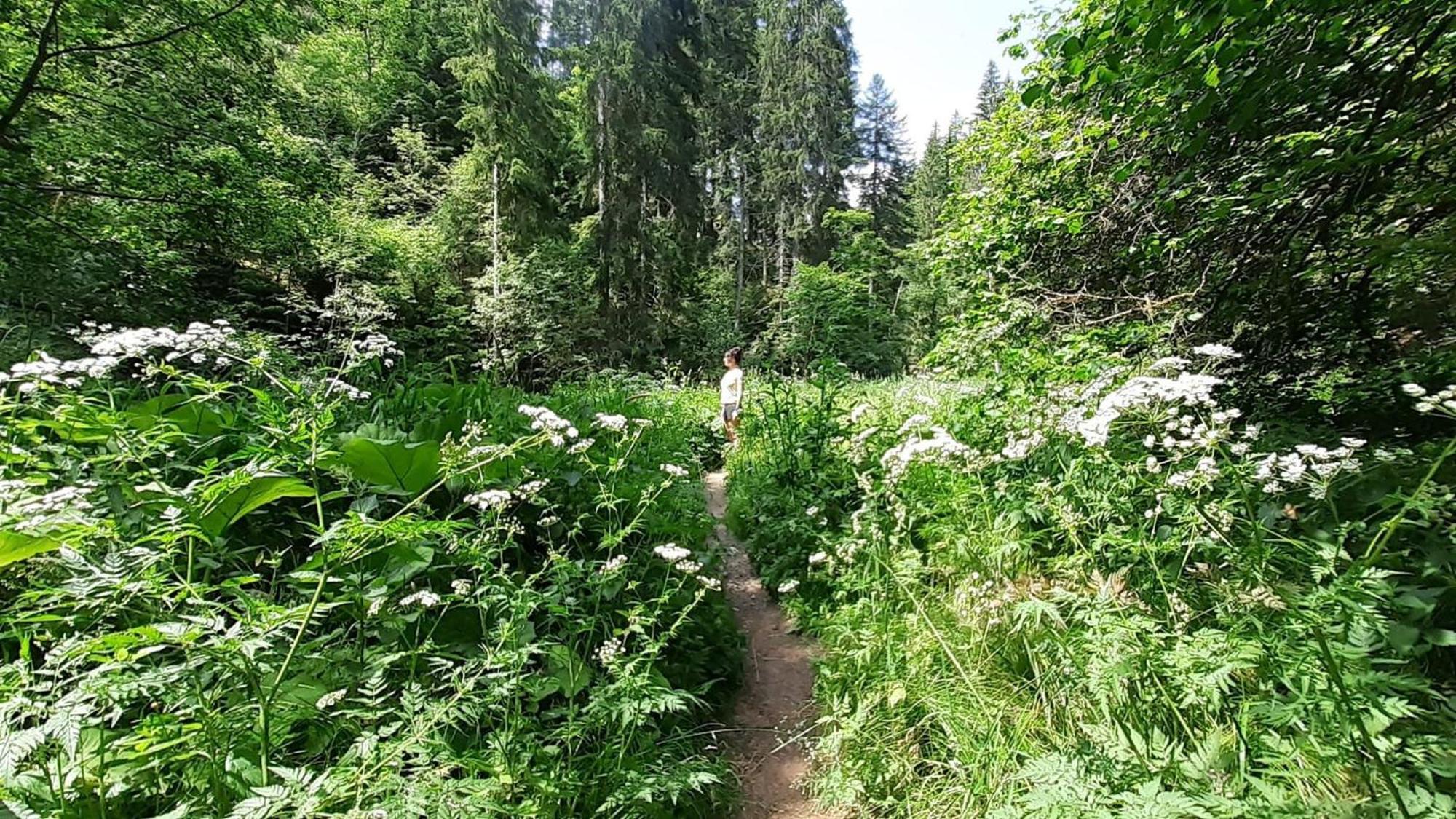 Landhaus Alpenpanorama لوفنغن المظهر الخارجي الصورة
